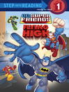 Cover image for Flying High (DC Super Friends)